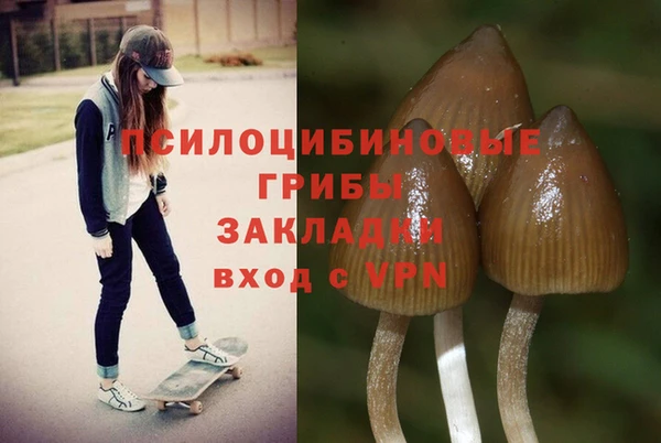 PSILOCYBIN Волосово